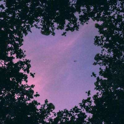 满堂彩下载手机版