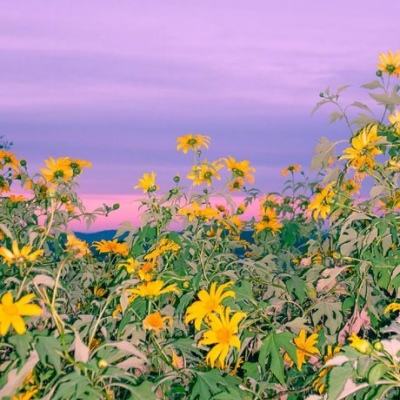 乐发彩票APP下载