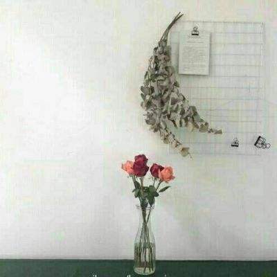 宝威体育app下载