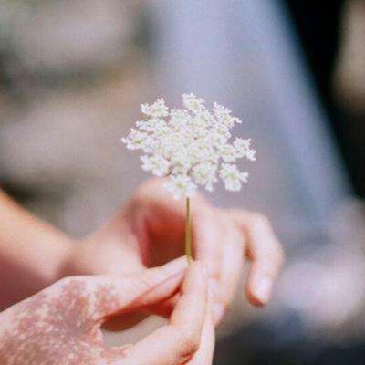 万博全站(ManBetX)手机app下载