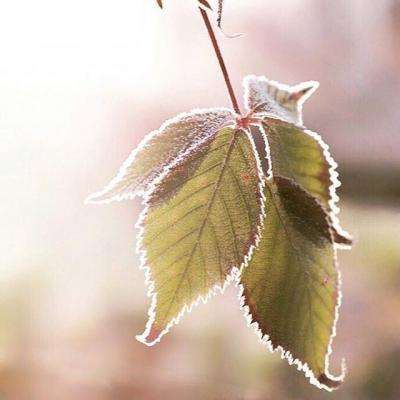 半岛登录入口-登录入口